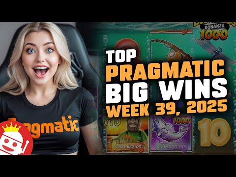 live казино wowbet